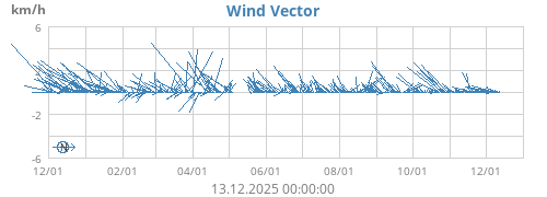 Wind Vector